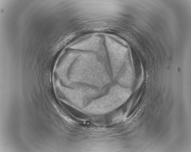 X0000059250397200511041339