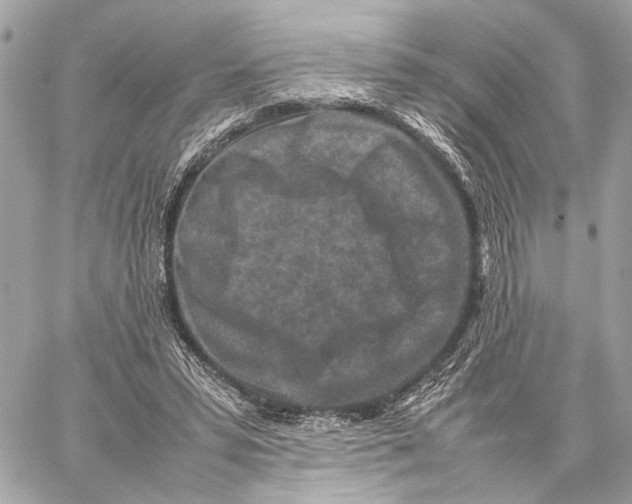 X0000059250399200511041339