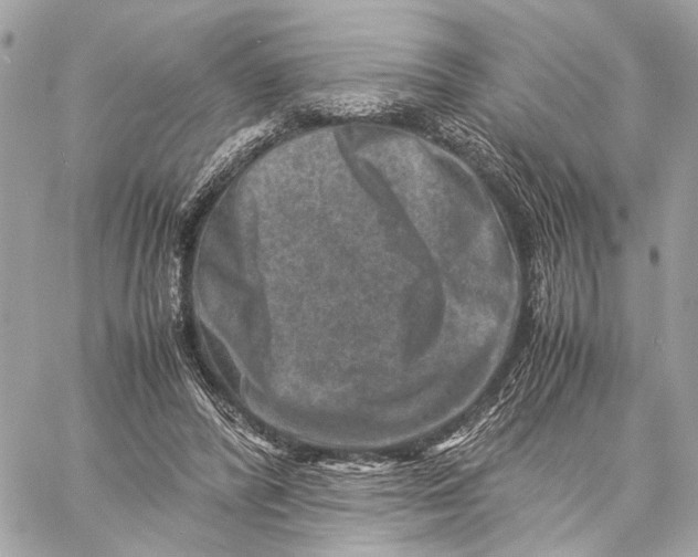 X0000059250400200511041339