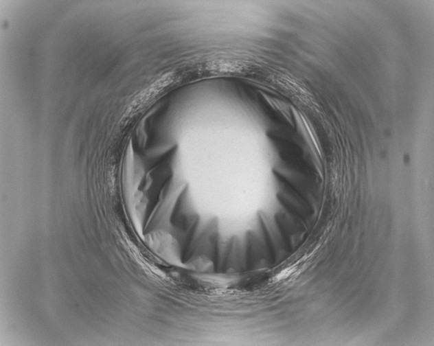 X0000059250401200511041339