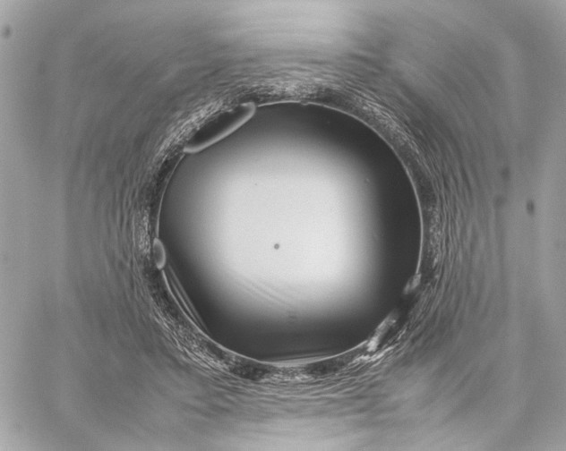 X0000059250403200511041339