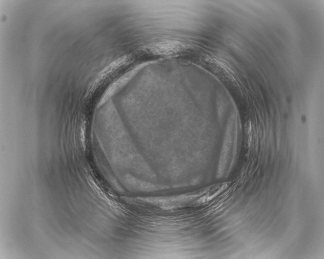 X0000059250404200511041339