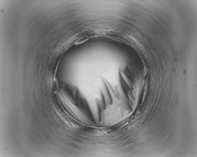 X0000059250405200511041339