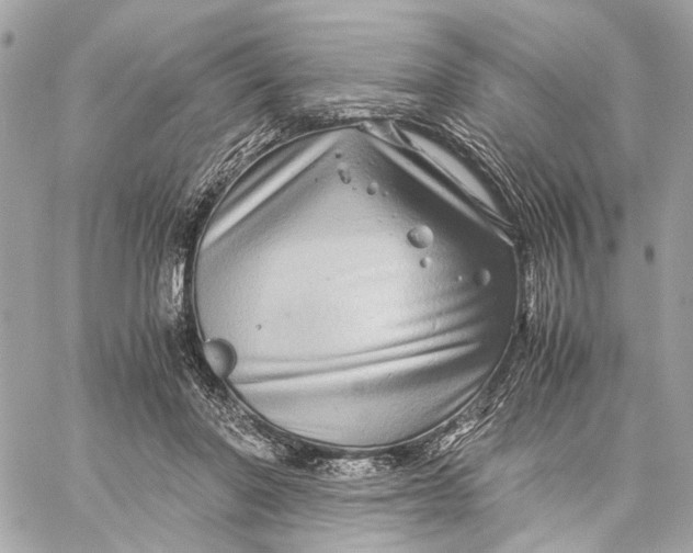 X0000059250406200511041339