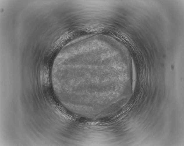 X0000059250408200511041339