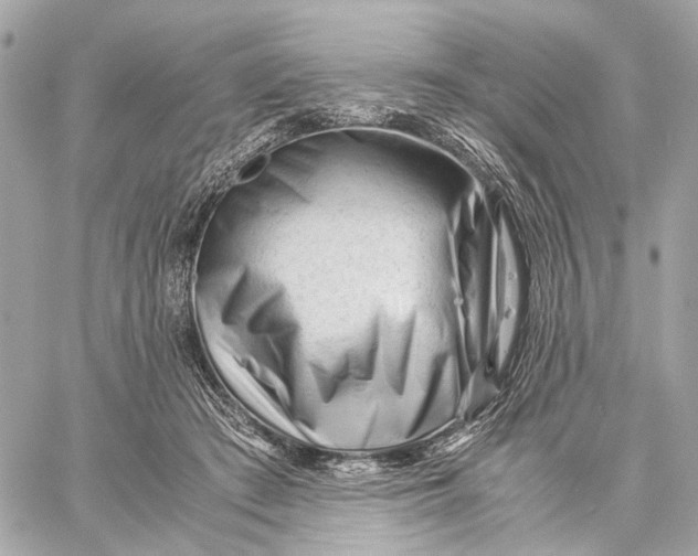 X0000059250409200511041339