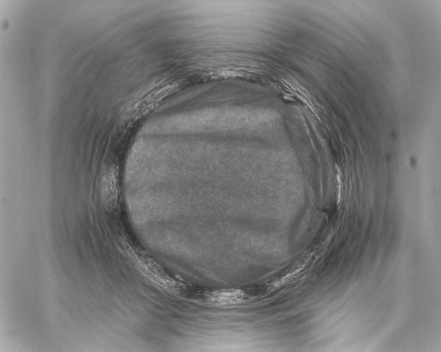 X0000059250410200511041339