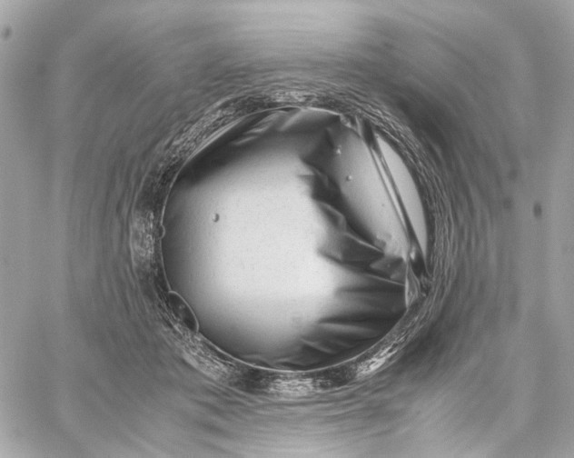 X0000059250413200511041339