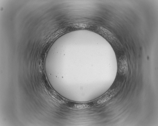 X0000059250414200511041339