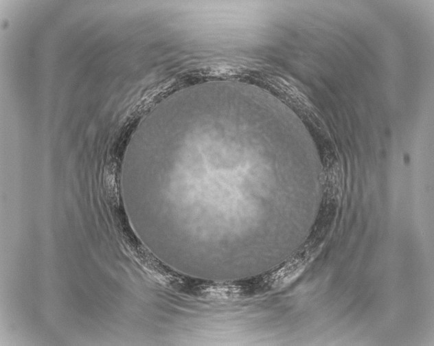 X0000059250415200511041339