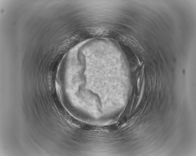 X0000059250416200511041339