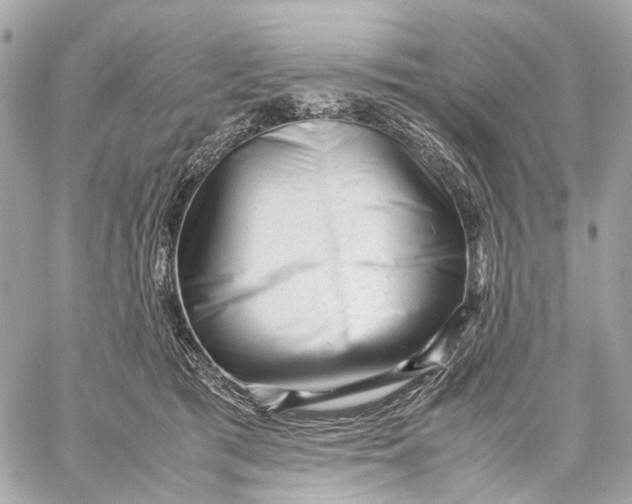 X0000059250417200511041339