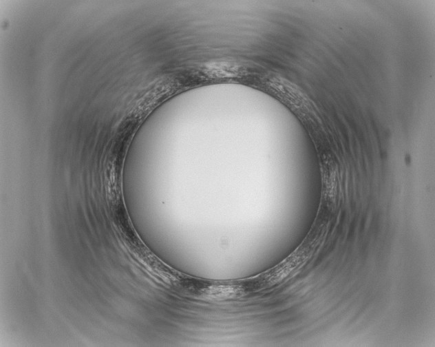 X0000059250418200511041339