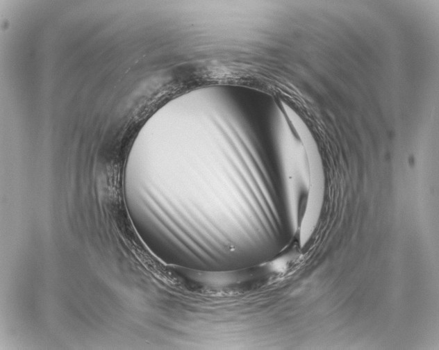 X0000059250421200511041339