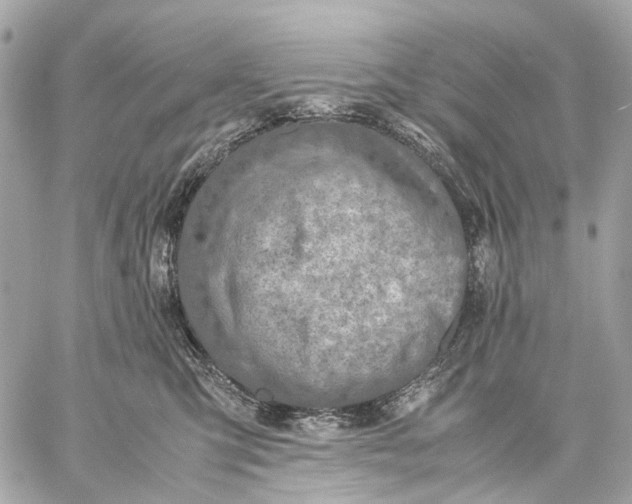 X0000059250423200511041339