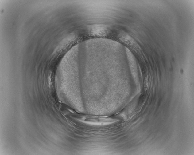 X0000059250424200511041339