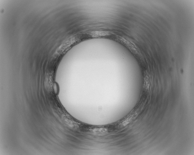 X0000059250426200511041339