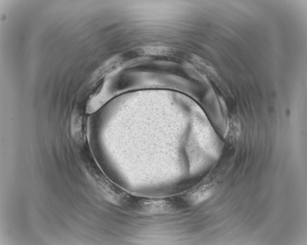 X0000059250428200511041339