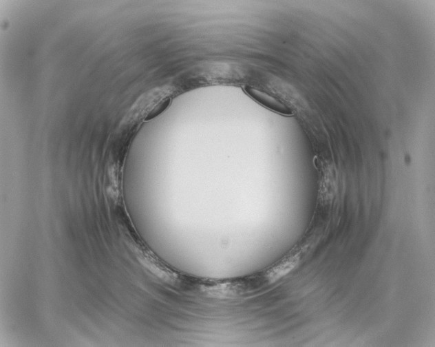 X0000059250430200511041339