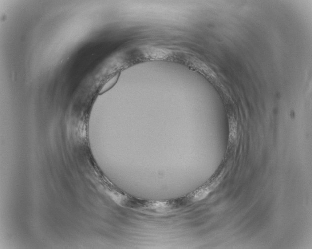 X0000059250431200511041339