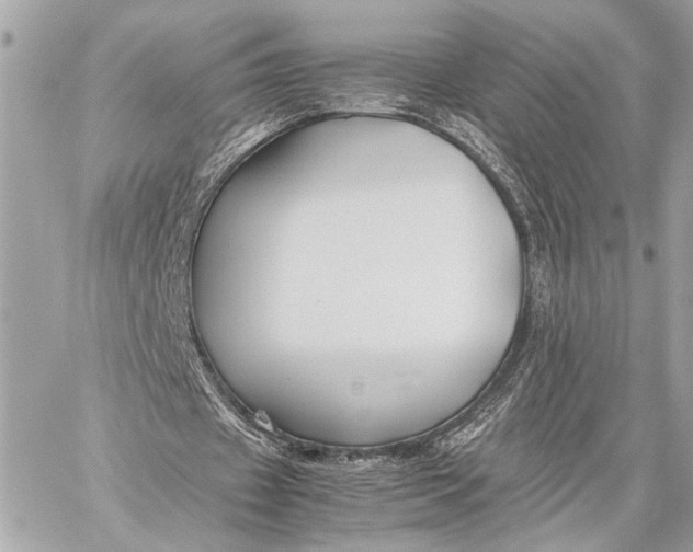 X0000059250433200511041338