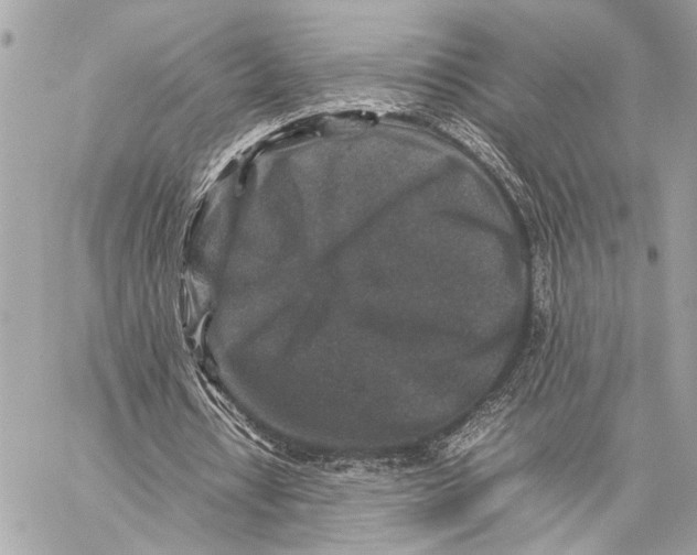 X0000059250434200511041338