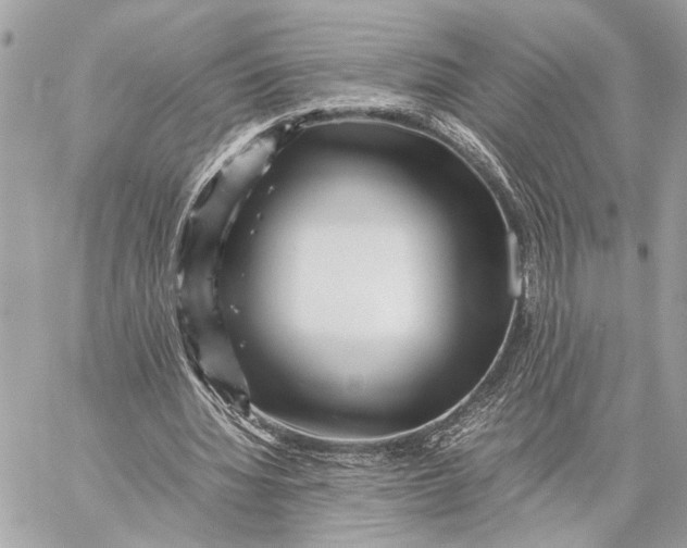 X0000059250436200511041338