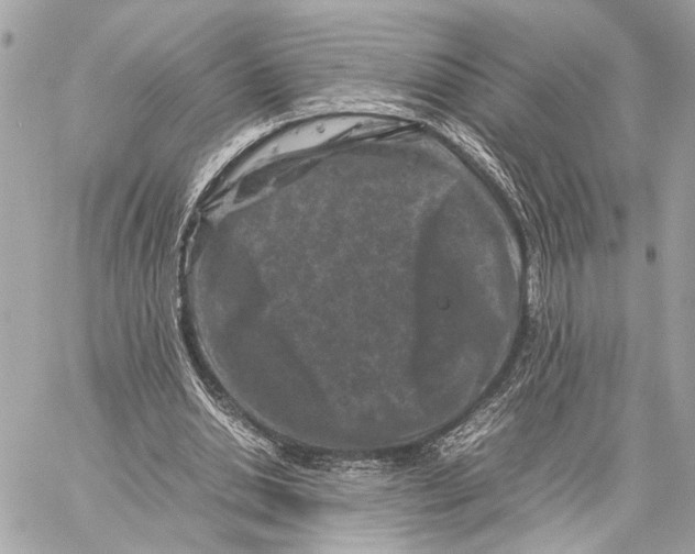 X0000059250438200511041338