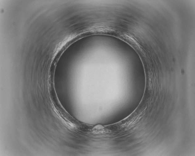 X0000059250439200511041338