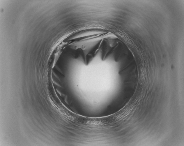 X0000059250440200511041338