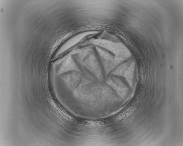 X0000059250442200511041338