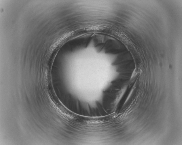 X0000059250444200511041338