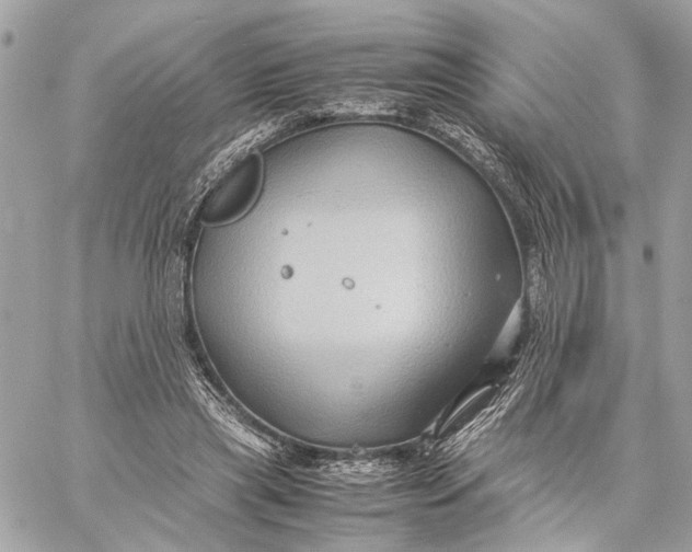 X0000059250445200511041338