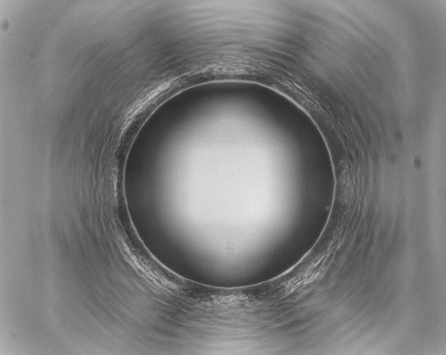 X0000059250446200511041338