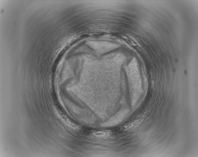 X0000059250447200511041338