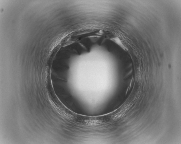 X0000059250448200511041338