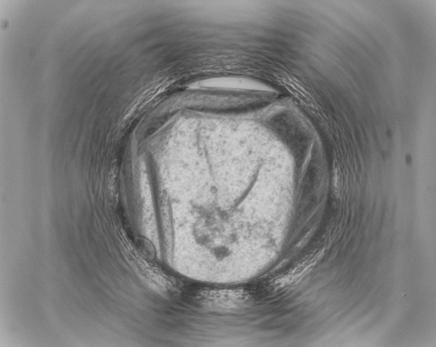 X0000059250449200511041338