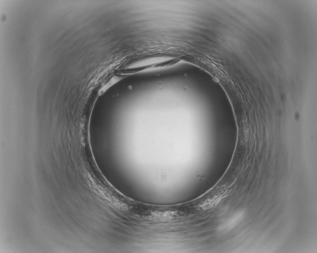 X0000059250450200511041338