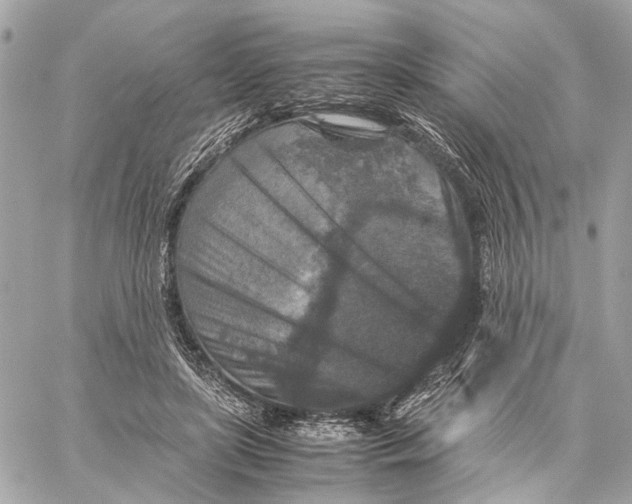 X0000059250451200511041338