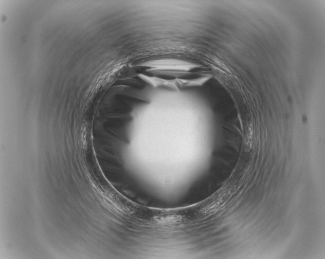 X0000059250452200511041338