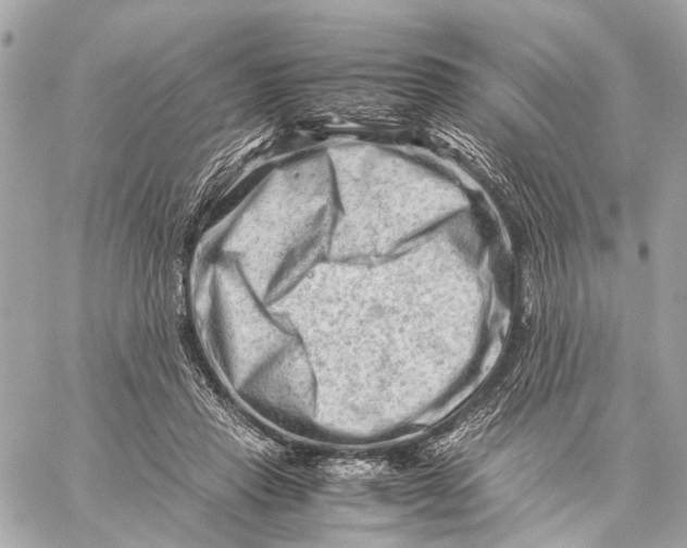 X0000059250453200511041338