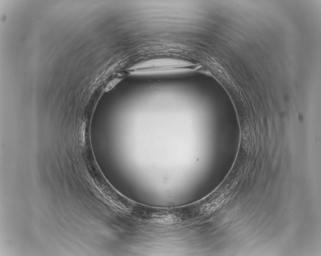 X0000059250454200511041338