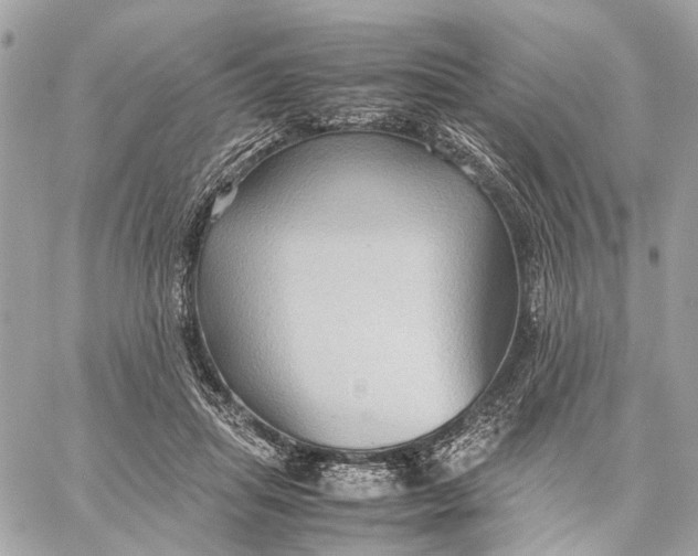 X0000059250455200511041338