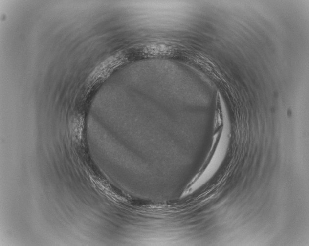 X0000059250458200511041338