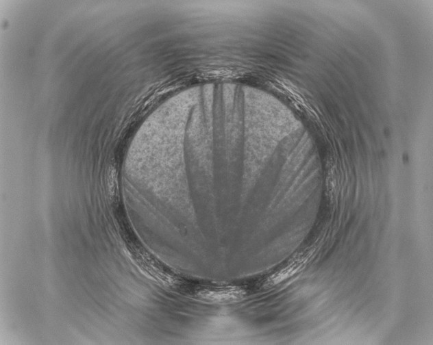 X0000059250459200511041338