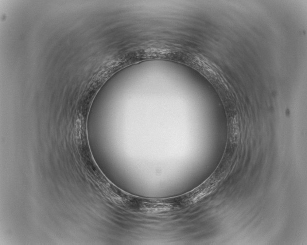 X0000059250463200511041338