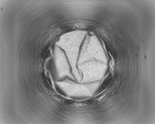 X0000059250464200511041338