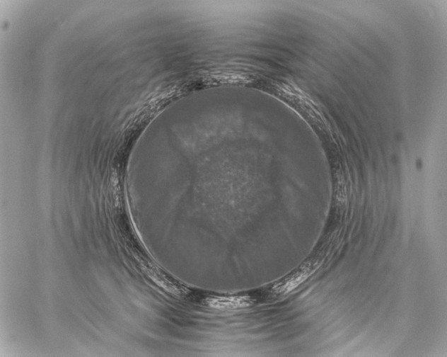 X0000059250465200511041338