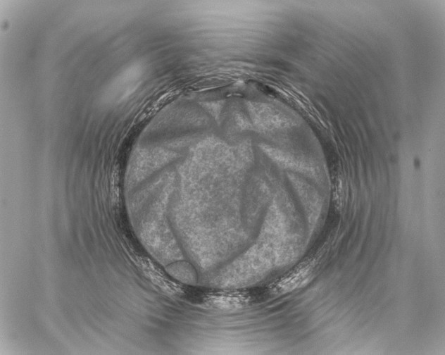 X0000059250466200511041338