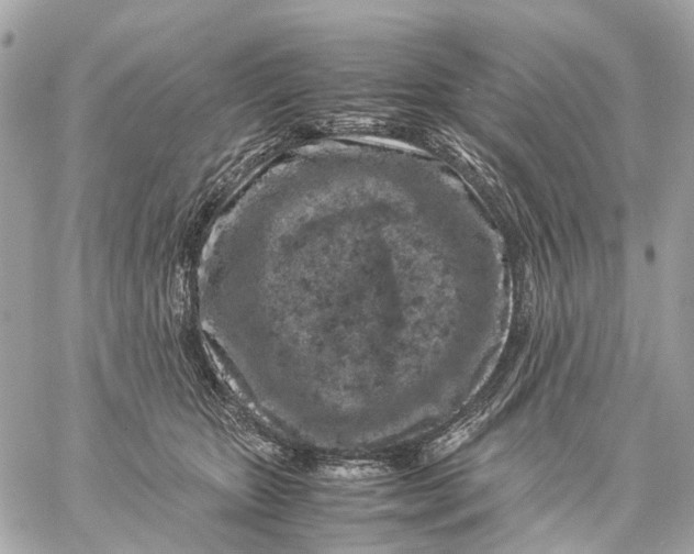 X0000059250467200511041338